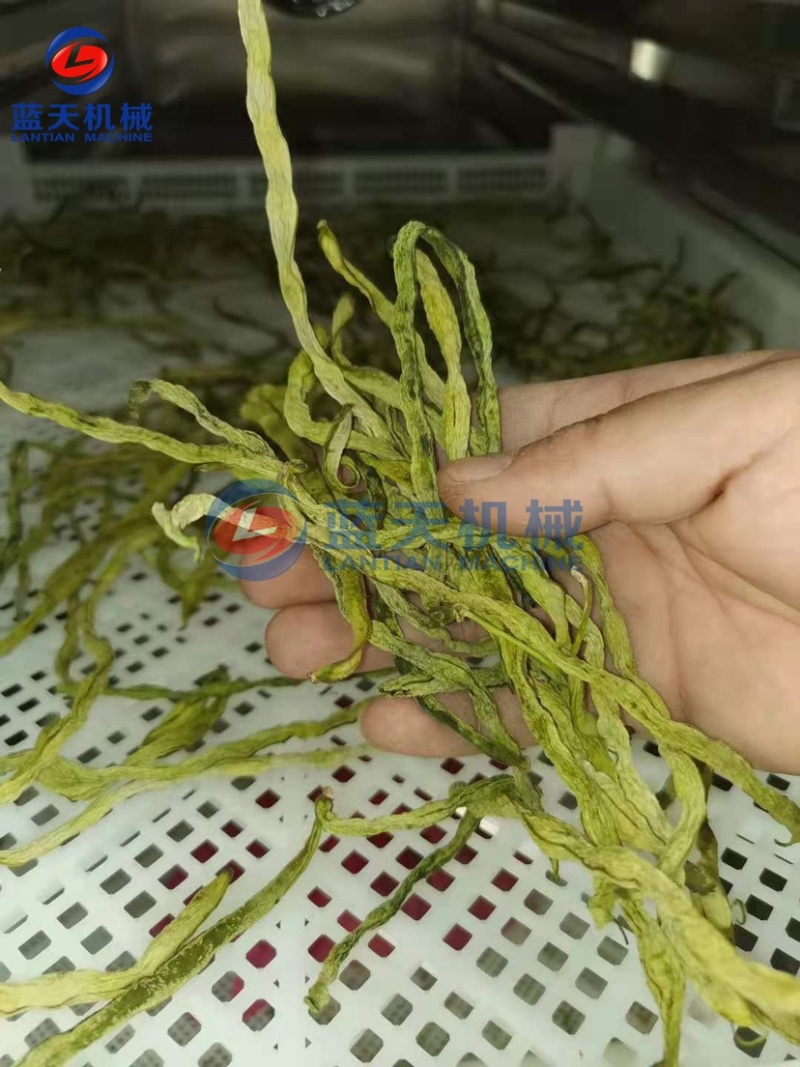 山药烘干机红薯烘干机地瓜烘干切片漂烫机豆角烘干设备
