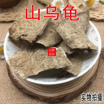 云南中药材山乌龟。