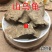 云南中药材山乌龟。