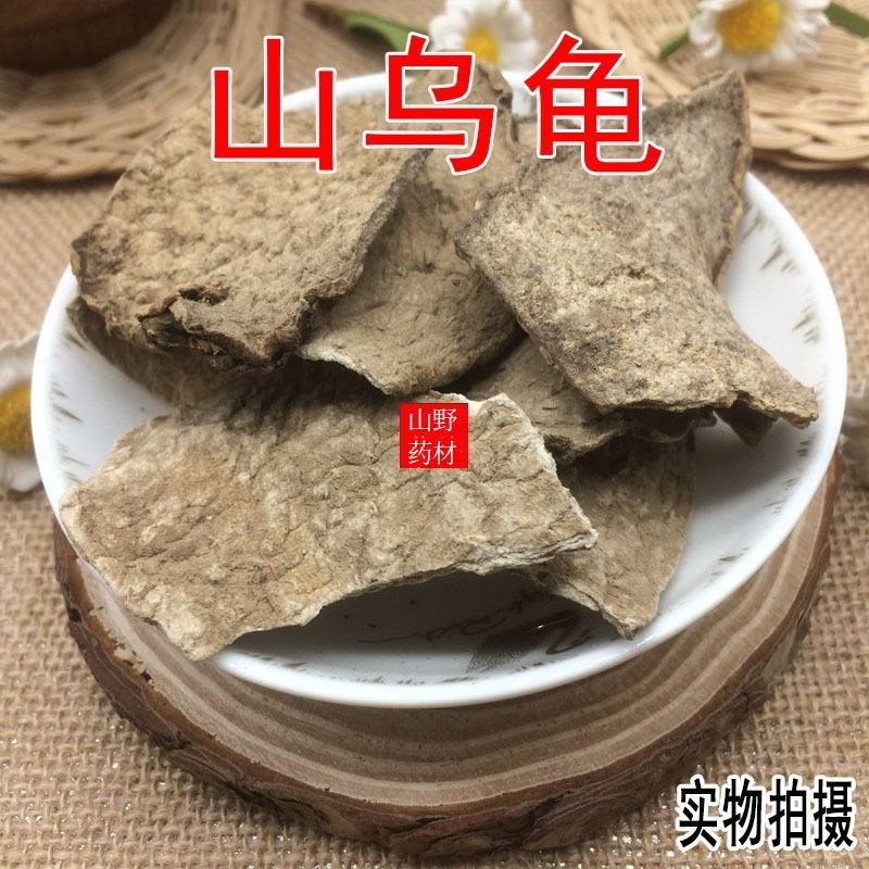 云南中药材山乌龟。