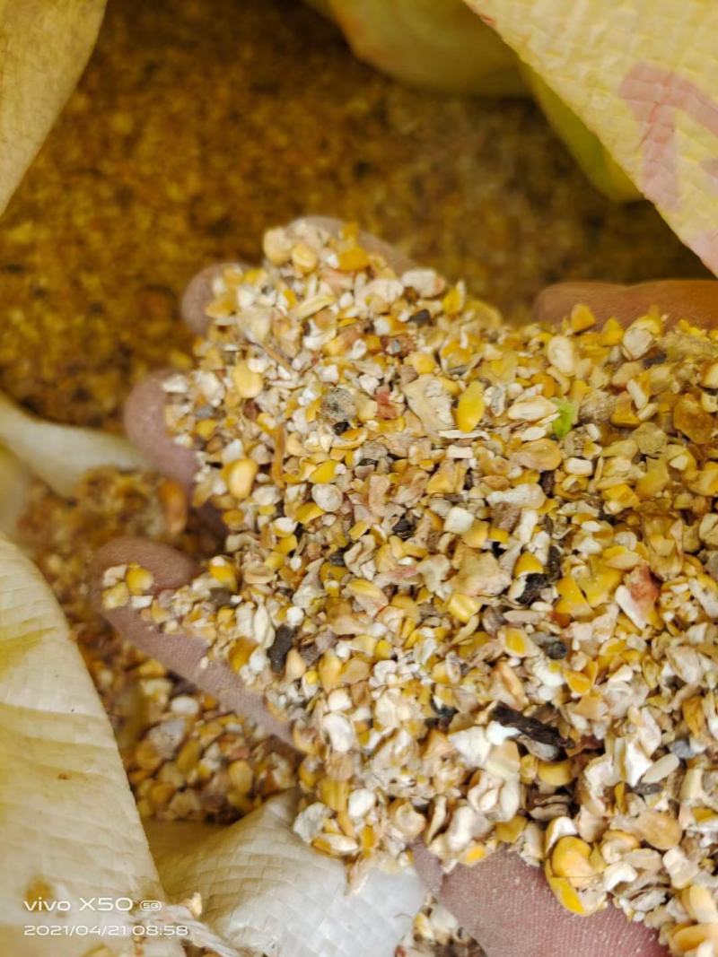 常年大量供应碎玉米碎小麦各种下脚料适合鸡鸭牛羊鹅养殖
