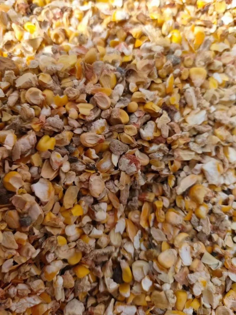 常年大量供应碎玉米碎小麦各种下脚料适合鸡鸭牛羊鹅养殖