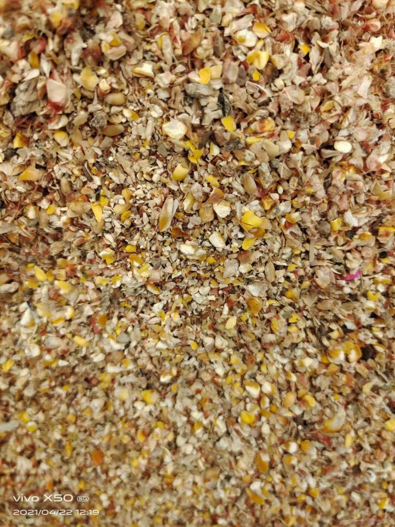 常年大量供应碎玉米碎小麦各种下脚料适合鸡鸭牛羊鹅养殖