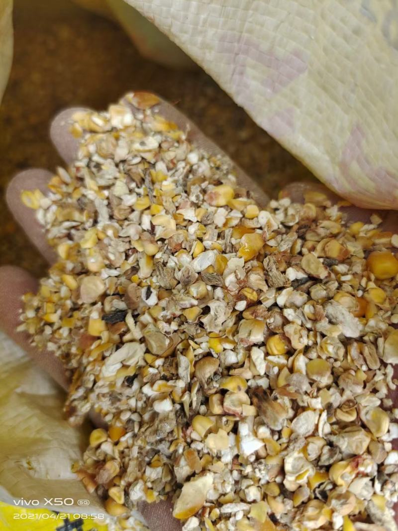 常年大量供应碎玉米碎小麦各种下脚料适合鸡鸭牛羊鹅养殖