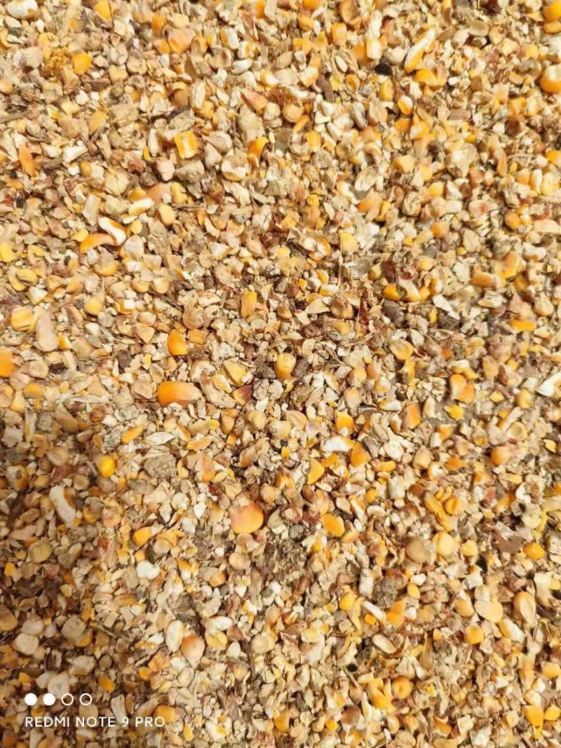 常年大量供应碎玉米碎小麦各种下脚料适合鸡鸭牛羊鹅养殖