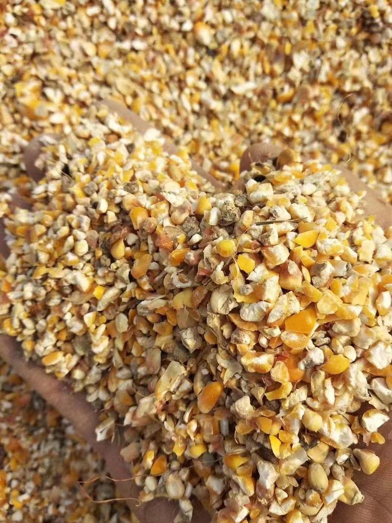 常年大量供应碎小麦碎玉米各种下脚料适合鸡鸭鹅牛羊养殖