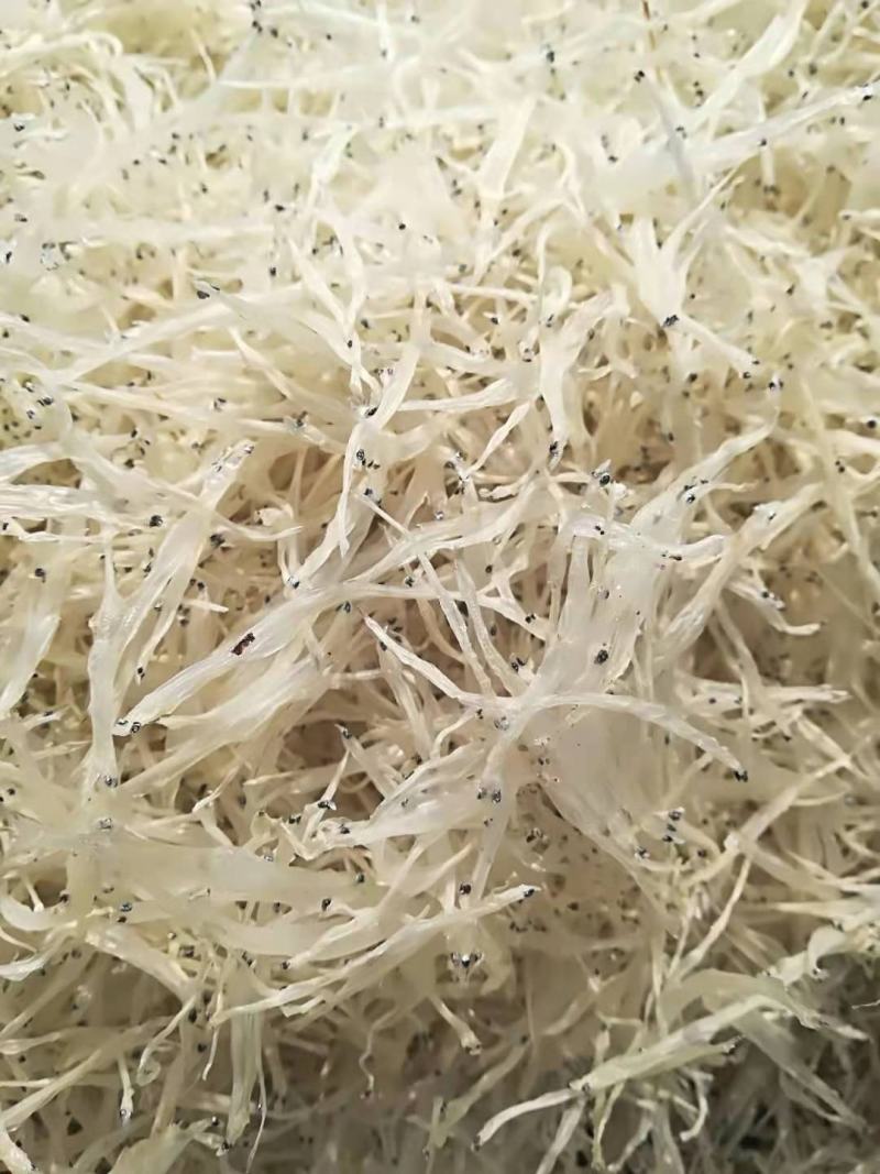 水产干货3—5cm的淡水银鱼干