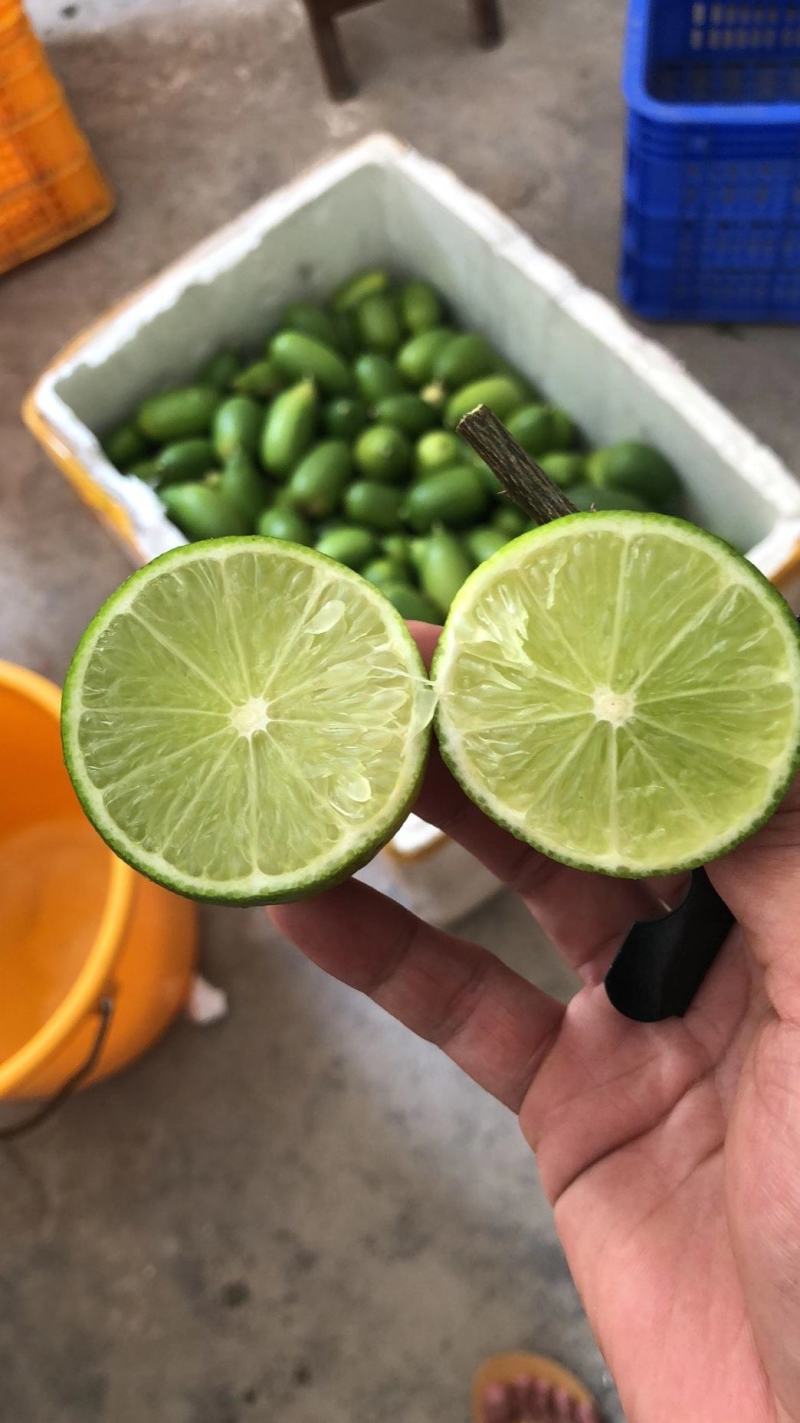 果已经摘出，有需要就只能等待下回了，但可以来电预约