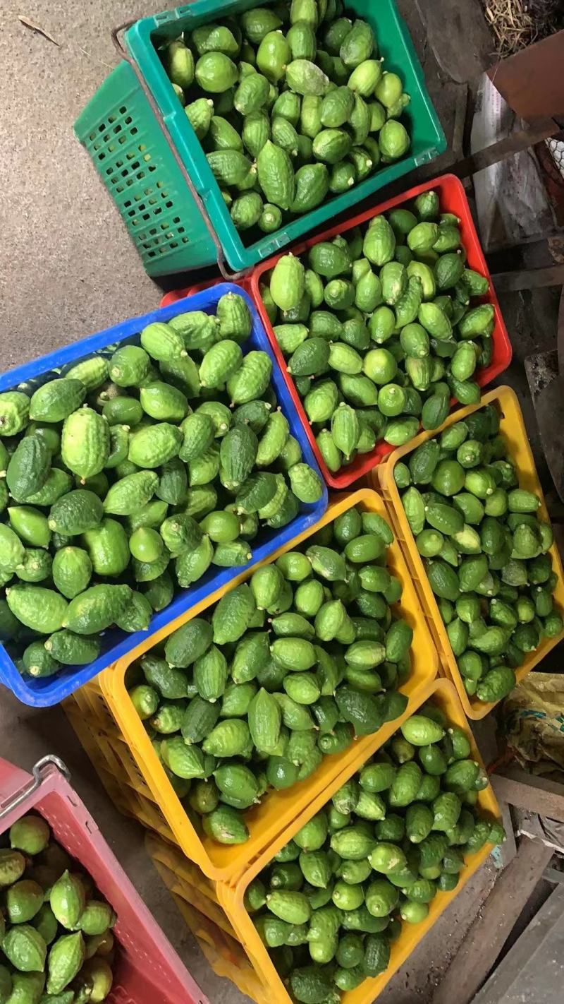 果已经摘出，有需要就只能等待下回了，但可以来电预约