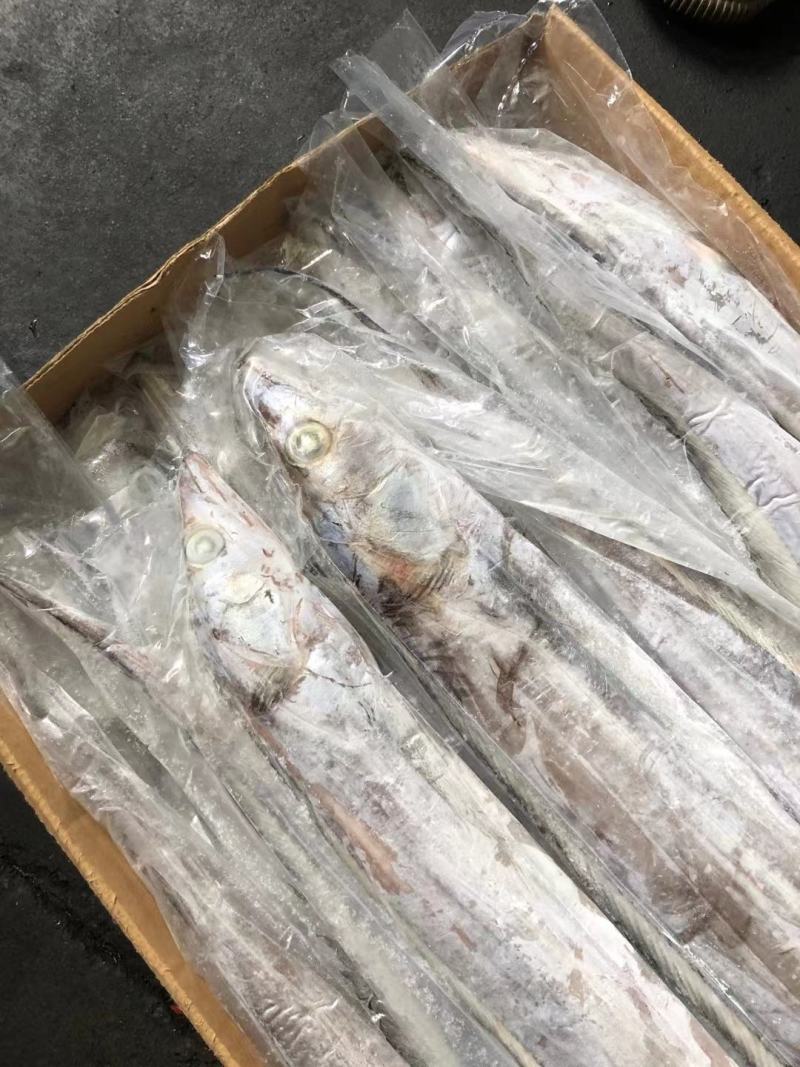 带鱼批发刀鱼批发水产海鲜冻品批发一手货源