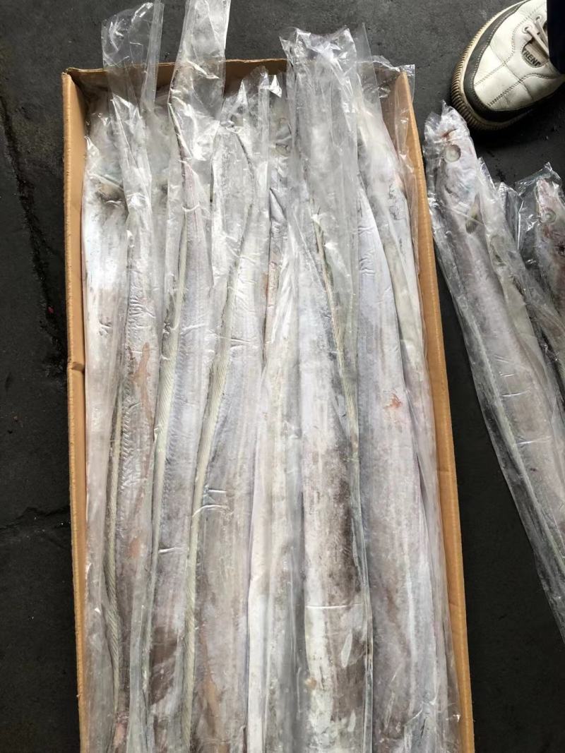 带鱼批发刀鱼批发水产海鲜冻品批发一手货源