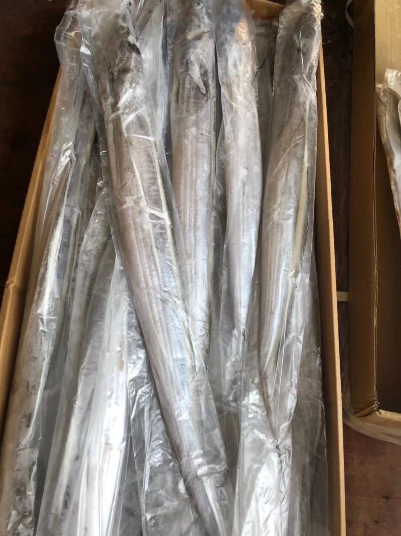带鱼批发刀鱼批发水产海鲜冻品批发一手货源