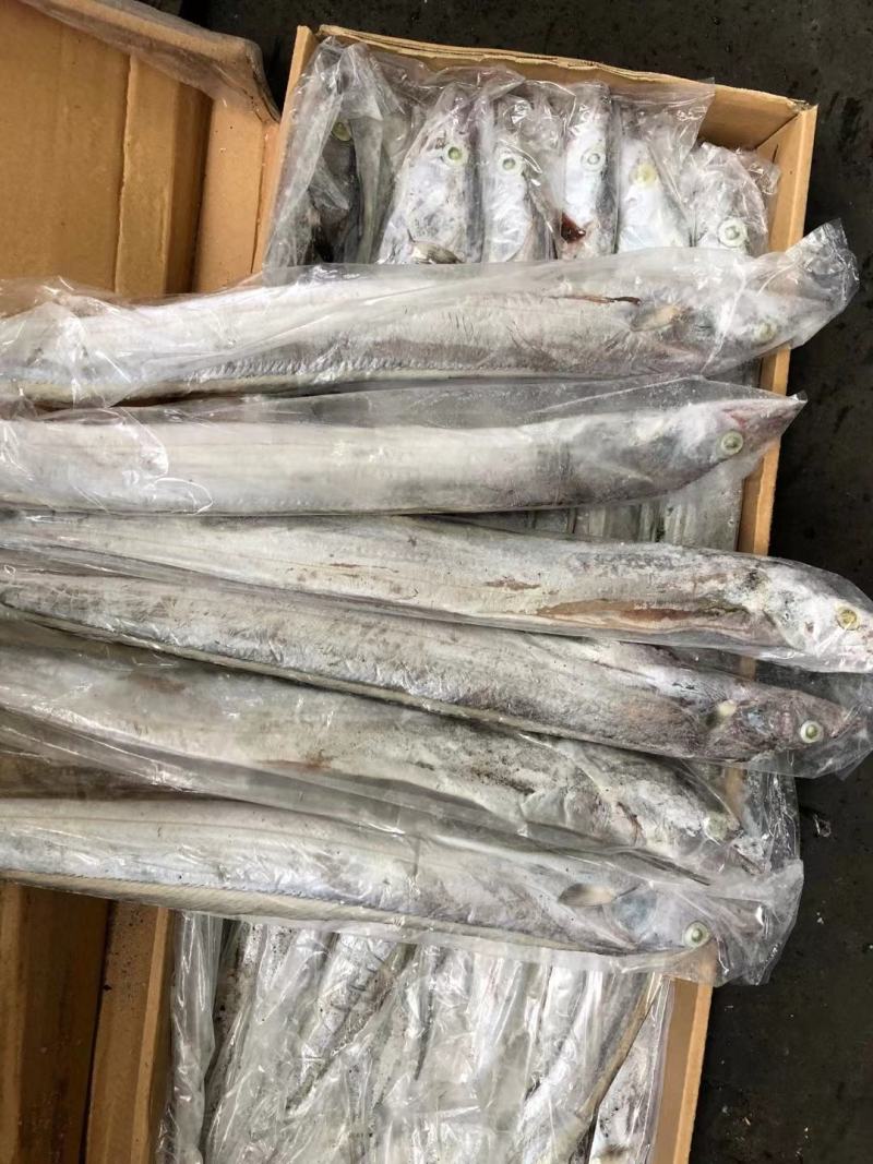 带鱼批发刀鱼批发水产海鲜冻品批发一手货源