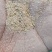 1.5无尘稻壳粉大量供应
