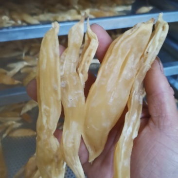 天门冬，七只妹，无盐酸绿色食品，天冬干货鲜货都有