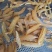 天门冬，七只妹，无盐酸绿色食品，天冬干货鲜货都有