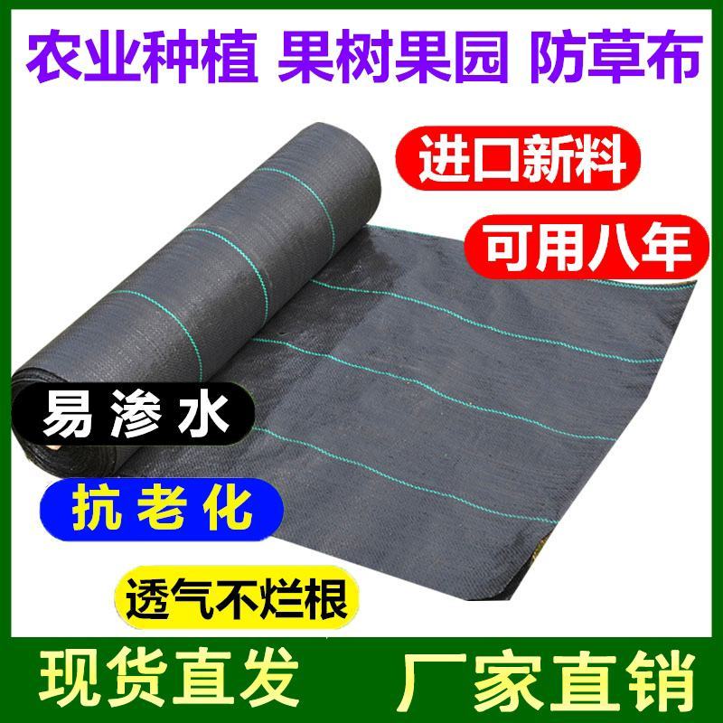防草布除草布农用果树果园大棚可抗老化耐用渗水保湿黑色地膜