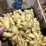 小黄姜山东优质生姜供应基地，常年供应批发零售价格便宜