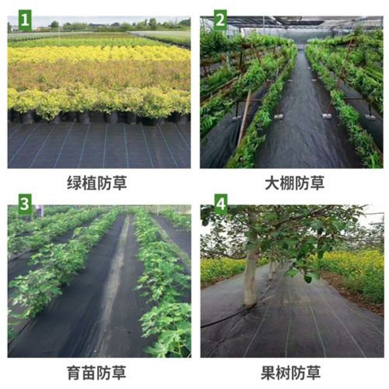 防草布除草布农用果树果园大棚可抗老化耐用渗水保湿黑色地膜