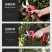 电动剪刀树枝修剪刀果树修枝剪剪子粗枝剪省力大剪刀剪枝强力