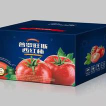 西红柿普罗旺斯西红柿番茄产地现摘现发一件顺丰