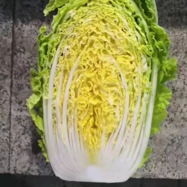 陕西精品蔬菜上市了，价格合适