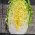 陕西精品蔬菜上市了，价格合适