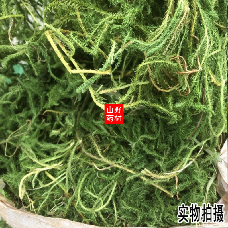 云南野生中药材伸筋草筋骨草舒筋草石松狮子500g