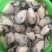 讲州生耗肉牡蛎肉海蛎子诏安牡蛎肉便宜