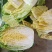 平度地区新鲜黄心大白菜袋装毛菜大量有货价低菜鲜量大