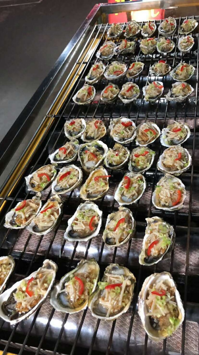 全壳生蚝/半壳生蚝/烧烤蚝广东生蚝肉质鲜嫩产地走货