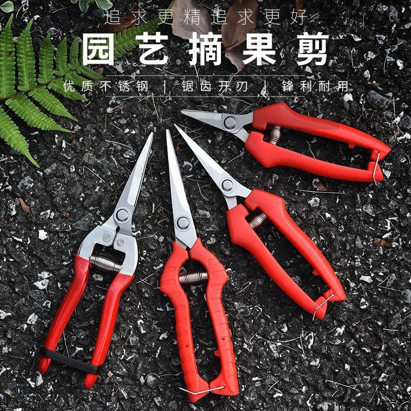 修枝剪子葡萄摘果剪园林果树剪刀粗枝花剪省力树枝修花园