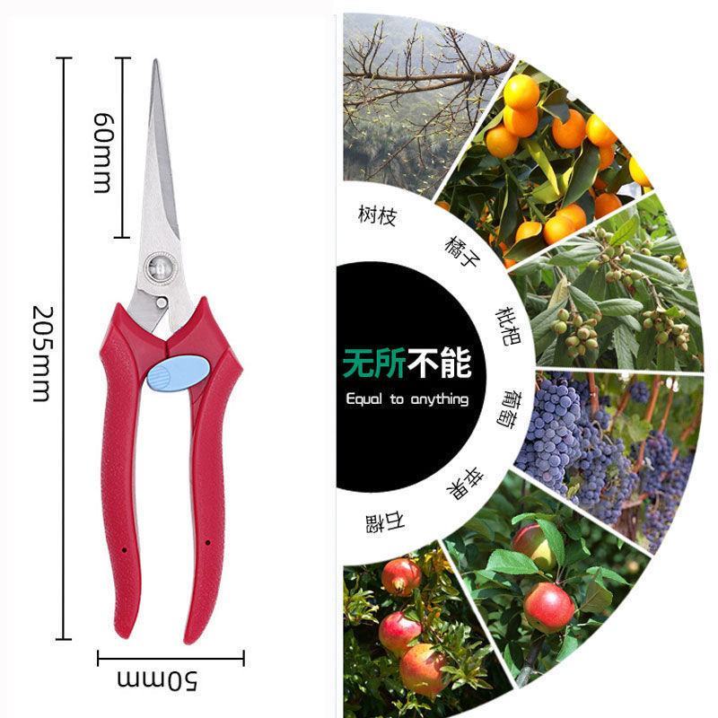 修枝剪子葡萄摘果剪园林果树剪刀粗枝花剪省力树枝修花园
