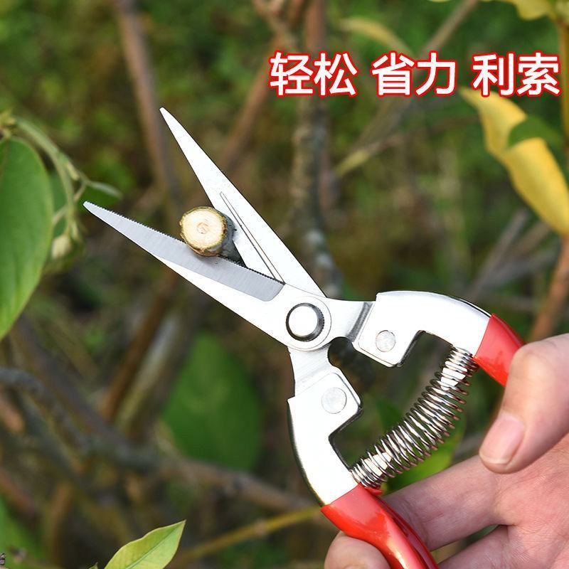 修枝剪子葡萄摘果剪园林果树剪刀粗枝花剪省力树枝修花园