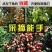 修枝剪子葡萄摘果剪园林果树剪刀粗枝花剪省力树枝修花园