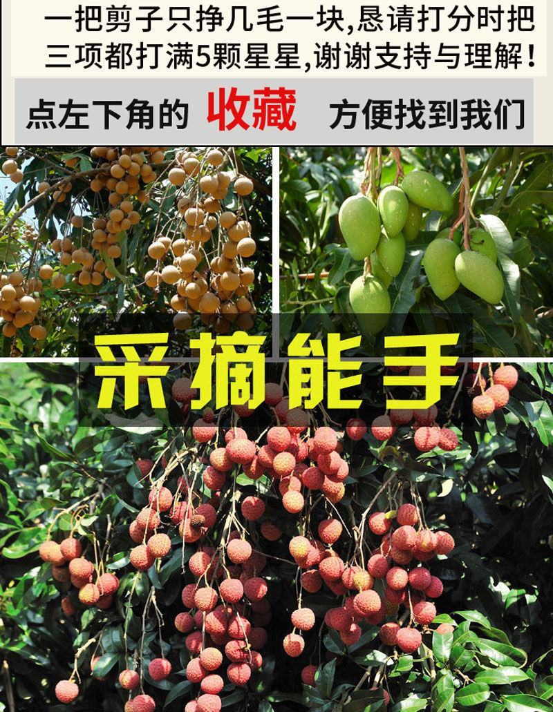 修枝剪子葡萄摘果剪园林果树剪刀粗枝花剪省力树枝修花园