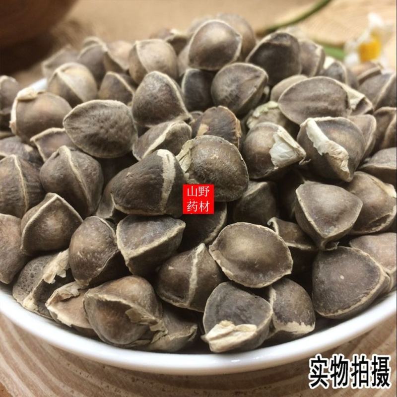 辣木籽精选印度进口辣木籽500g包邮