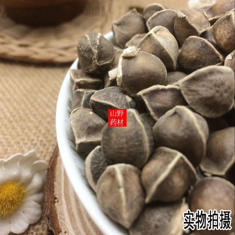 辣木籽精选印度进口辣木籽500g包邮