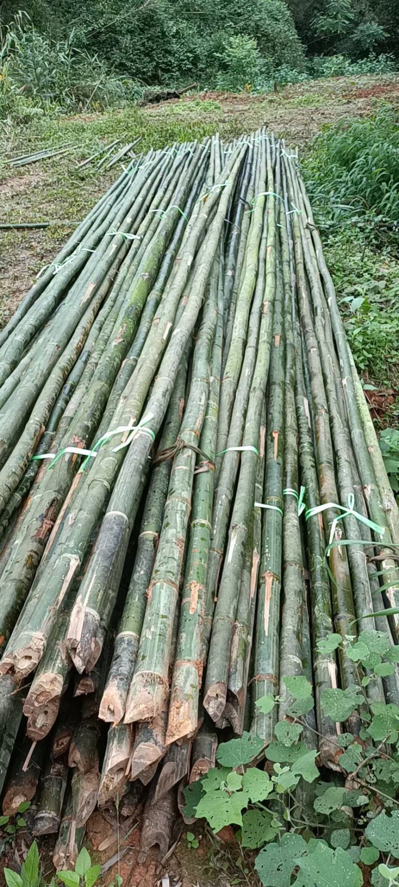8米外架排山篙竹