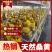 大量销售纯桑木桑黄菌包大量上市品质保证