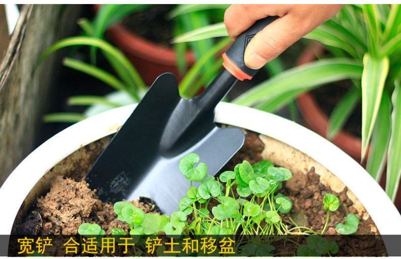 铲子铁铲小铲子种花工具四件套小耙子小锄头铁锹农用赶海园艺