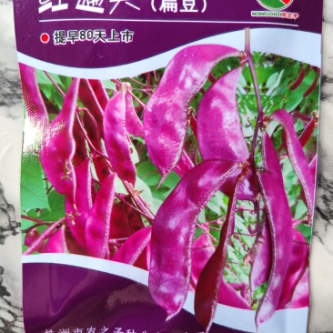 红遍天扁豆种子早熟80天，红扁豆种子，500克，