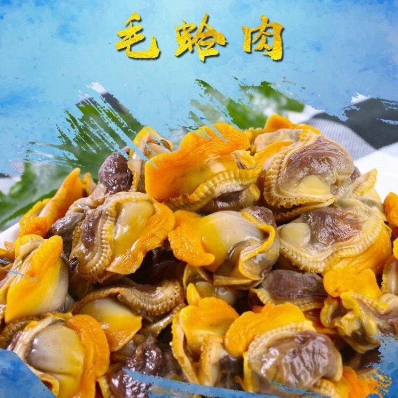 毛蛤肉，新鲜鲜活毛蛤现拔现卖