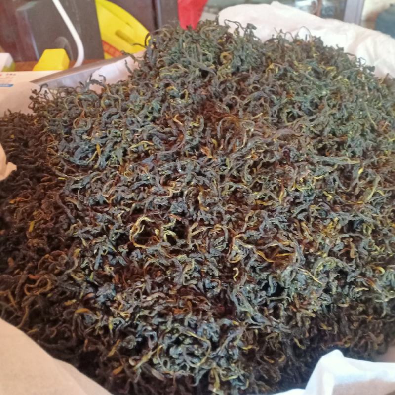 野生山茶