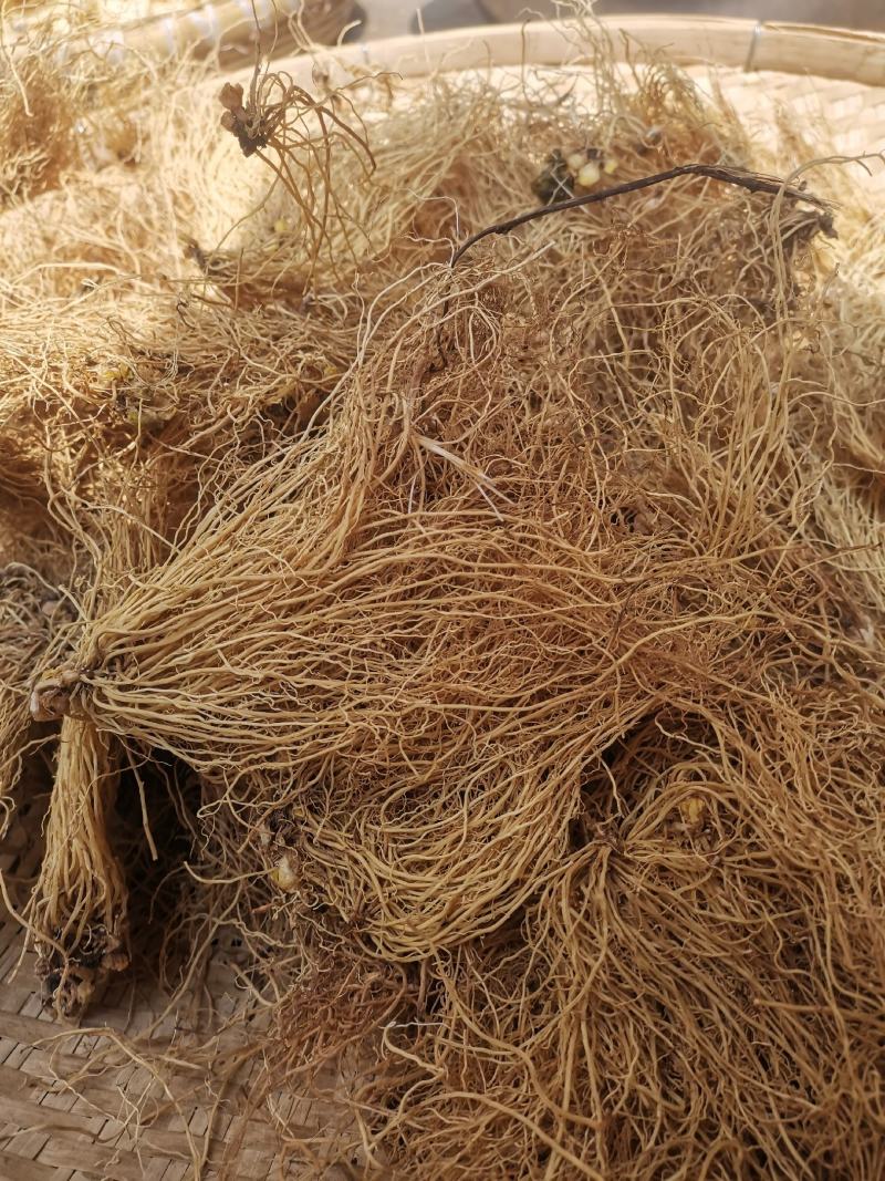 中药材辽细辛北细辛水洗辽细辛干净无杂质250g包