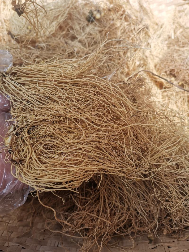 中药材辽细辛北细辛水洗辽细辛干净无杂质250g包