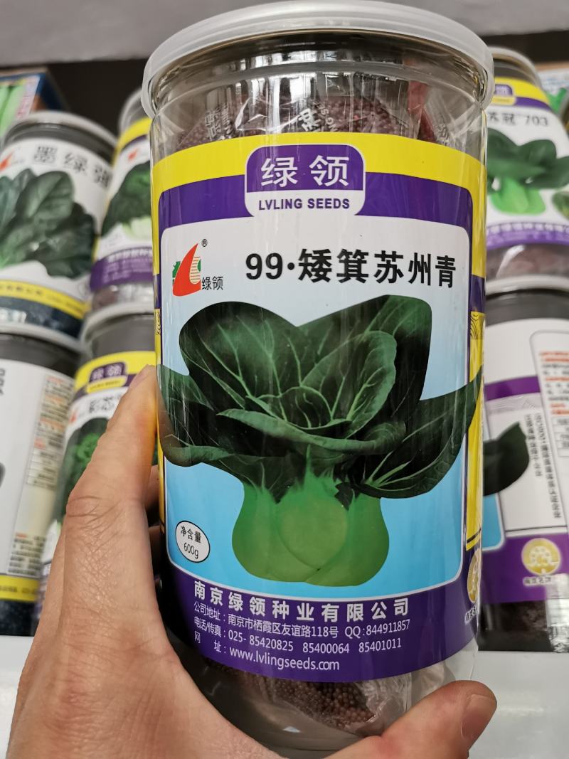 矮脚黑叶苏州青青菜种子耐寒好吃黑菜种子原装发货