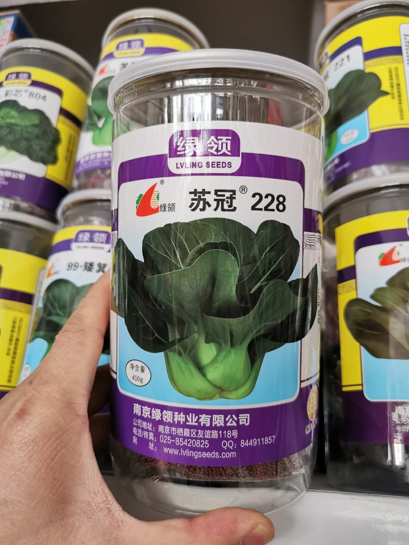 矮脚黑叶苏州青青菜种子耐寒好吃黑菜种子原装发货