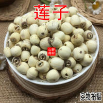 云南中药材莲子白莲子磨皮湘莲子500g包邮