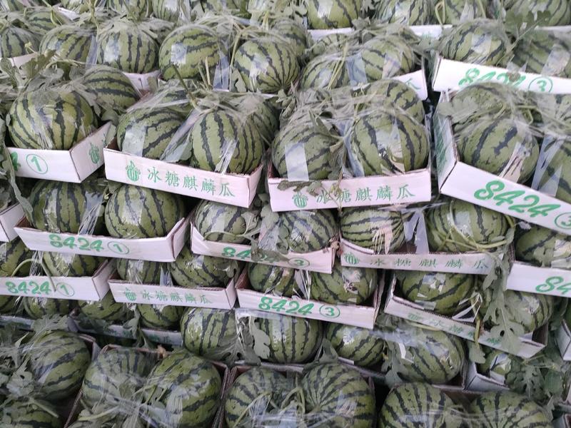 万亩甜王西瓜大量有货，包熟包甜基地发货，质量保证